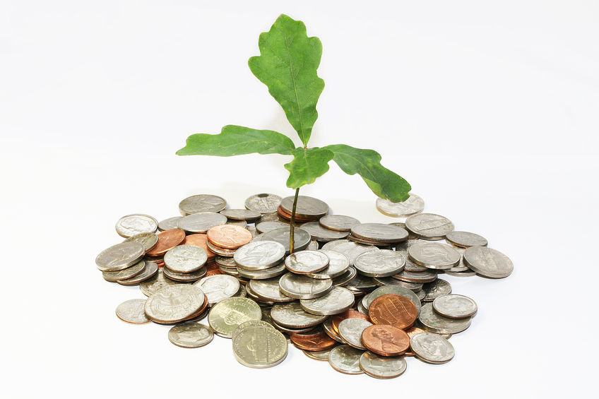 coins green plant financial wellness financial advice industry how do we get there