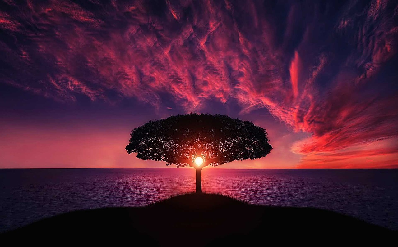 large tree at sunset workplace tune up for suicide prevention protect health and wellbeing of employees