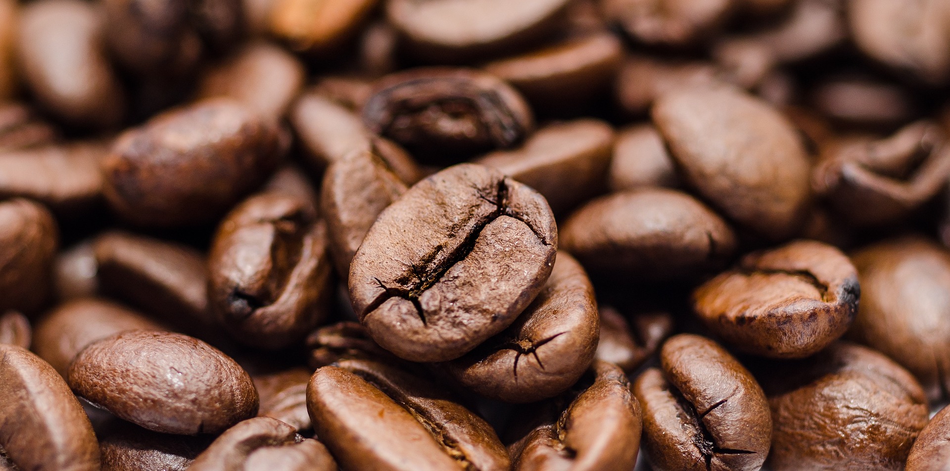 brown coffee beans roasted beans hygiene cockroaches and morning coffee