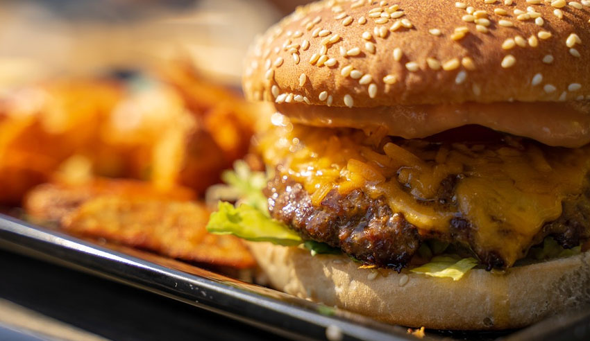 Eating junk food can affect long-term memory