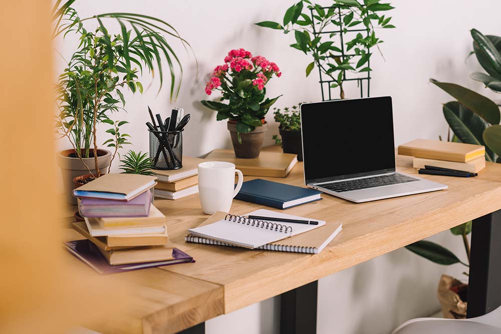 Plants can improve your work life